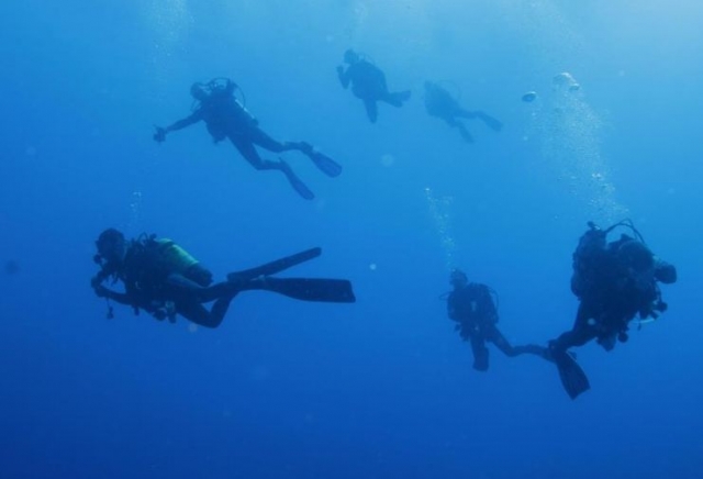  Viaje de buceo organizado por el club